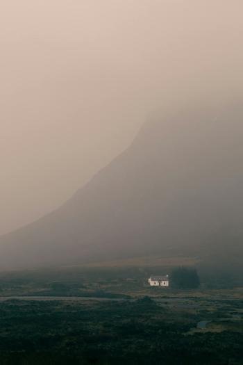 Fondo de Pantalla de pexels_16537613.jpg