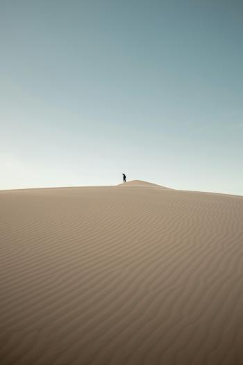 Fondo de Pantalla de pexels_17923078.jpg