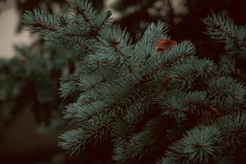 Fondo de Pantalla de pexels_6332541.jpg