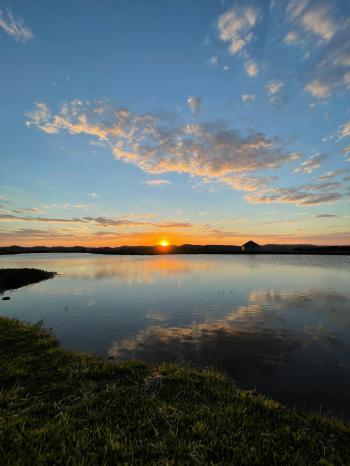 Fondo de Pantalla de pexels_29836827.jpg