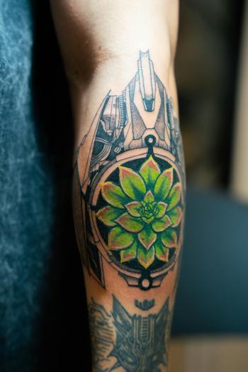 Fondo de Pantalla de pexels_29547856.jpg