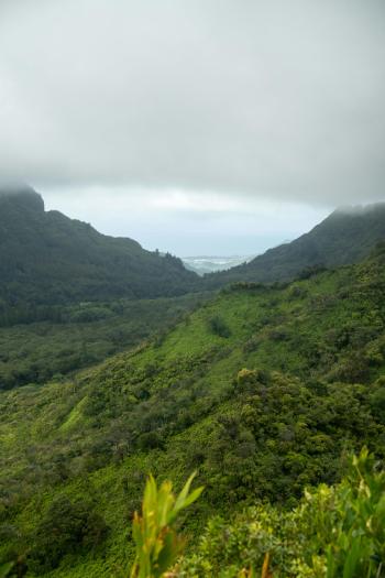 Fondo de Pantalla de pexels_29476035.jpg