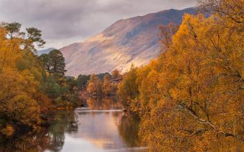 Fondo de Pantalla de pexels_29279449.jpg