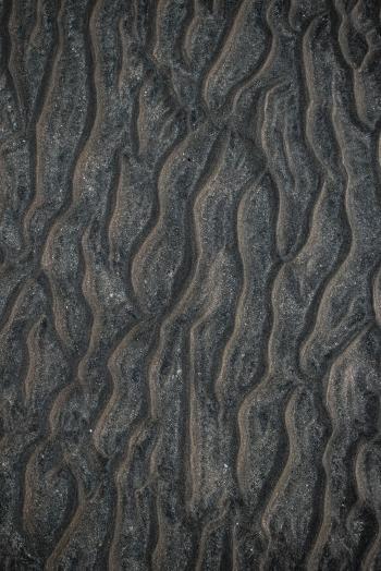 Fondo de Pantalla de pexels_29041984.jpg