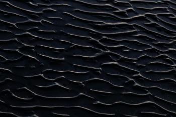 Fondo de Pantalla de pexels_29041985.jpg