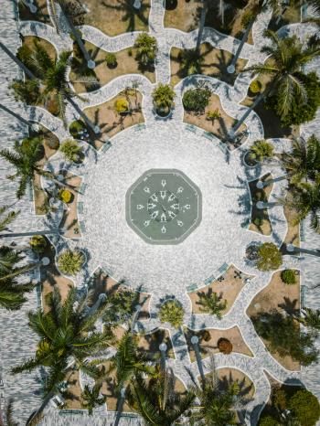 Fondo de Pantalla de pexels_28692486.jpg