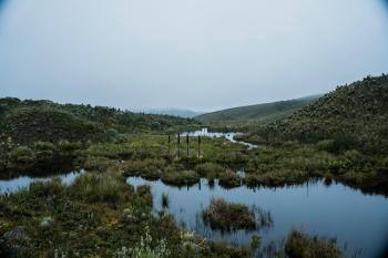 Fondo de Pantalla de pexels_28154866.jpg