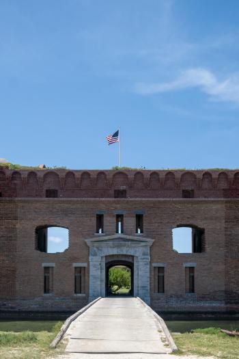 Fondo de Pantalla de pexels_28084073.jpg