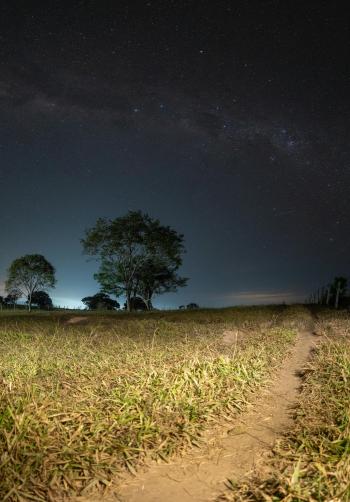 Fondo de Pantalla de pexels_26937336.jpg