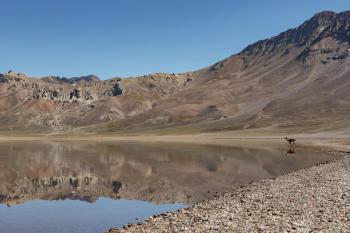 Fondo de Pantalla de pexels_26711100.jpg