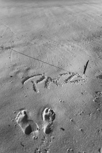 Fondo de Pantalla de pexels_24409064.jpg