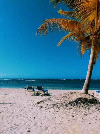 Fondo de Pantalla de pexels_2158567.jpg