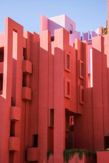 Fondo de Pantalla de pexels_21702293.jpg