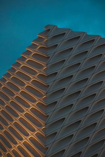 Fondo de Pantalla de pexels_19328726.jpg