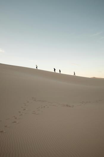 Fondo de Pantalla de pexels_17923082.jpg