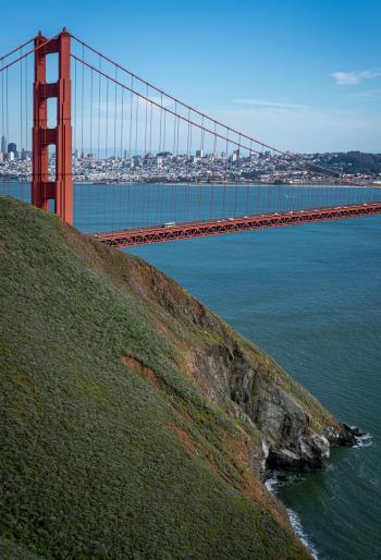 Fondo de Pantalla de pexels_16130507.jpg