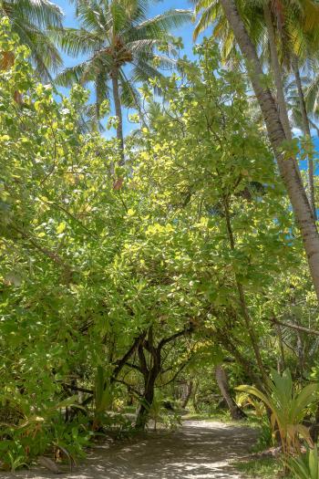 Fondo de Pantalla de pexels_9394273.jpg