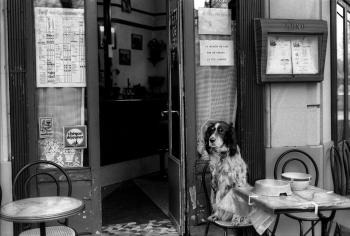 Fondo de Pantalla de pexels_5812085.jpg