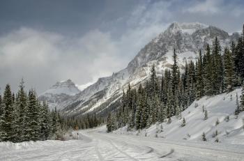 Fondo de Pantalla de pexels_30137955.jpg