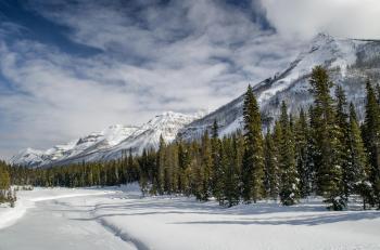 Fondo de Pantalla de pexels_30138049.jpg