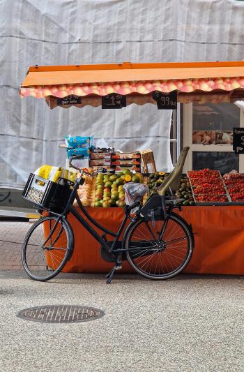 Fondo de Pantalla de pexels_30084804.jpg