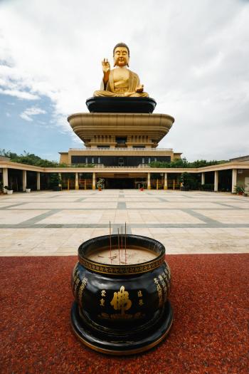 Fondo de Pantalla de pexels_30076217.jpg