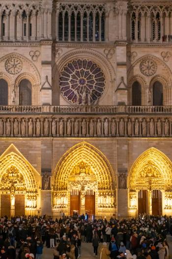 Fondo de Pantalla de pexels_30050875.jpg