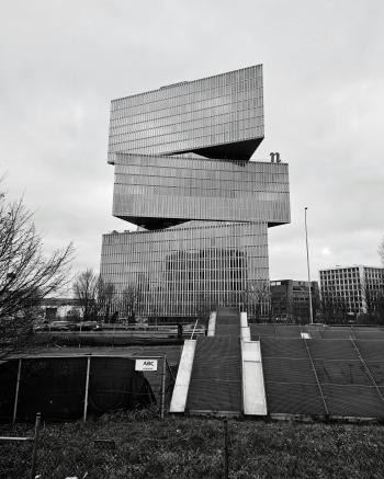 Fondo de Pantalla de pexels_30005619.jpg