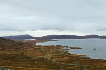 Fondo de Pantalla de pexels_30190999.jpg