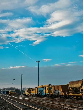 Fondo de Pantalla de pexels_30206619.jpg