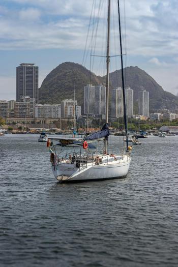 Fondo de Pantalla de pexels_30212988.jpg