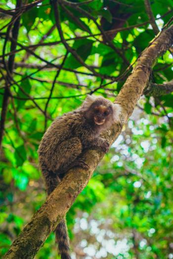 Fondo de Pantalla de pexels_30196819.jpg