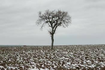 Fondo de Pantalla de pexels_30131986.jpg