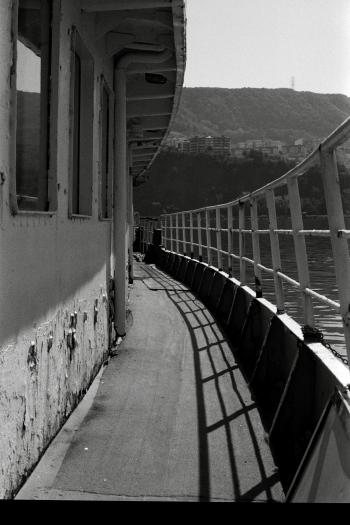 Fondo de Pantalla de pexels_28959911.jpg