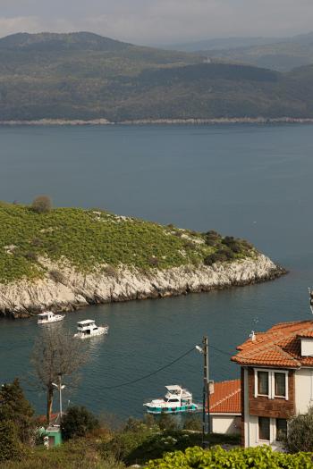 Fondo de Pantalla de pexels_27395748.jpg