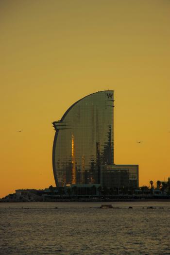 Fondo de Pantalla de pexels_20129562.jpg