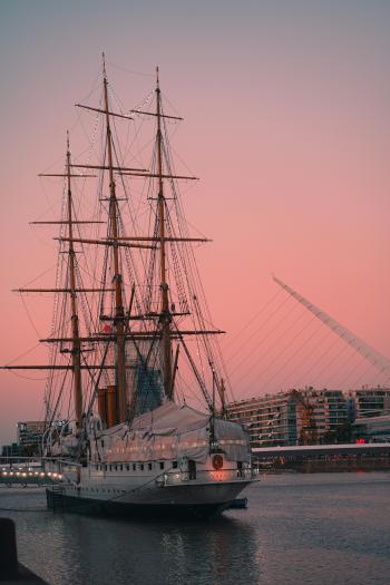 Fondo de Pantalla de pexels_15087221.jpg