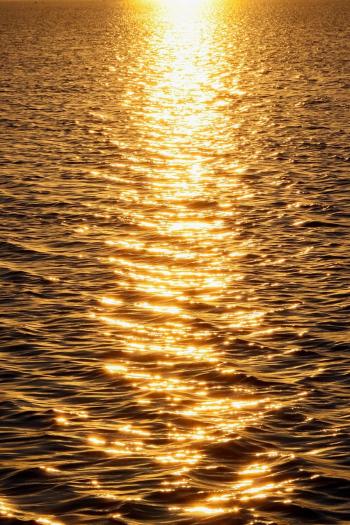 Fondo de Pantalla de pixabay_8424565.jpg