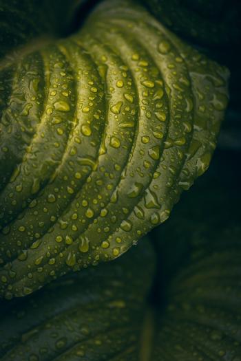 Fondo de Pantalla de pixabay_8049076.jpg