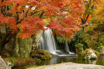 Fondo de Pantalla de pixabay_5873630.jpg