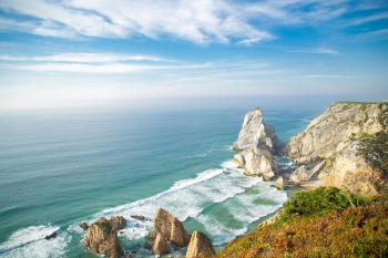 Fondo de Pantalla de pexels_5937248.jpg