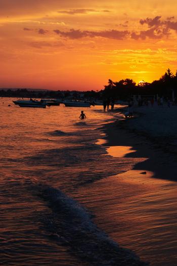 Fondo de Pantalla de pexels_30374569.jpg