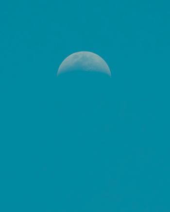 Fondo de Pantalla de pexels_30375173.jpg