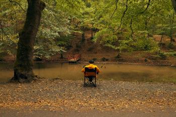 Fondo de Pantalla de pexels_29959515.jpg