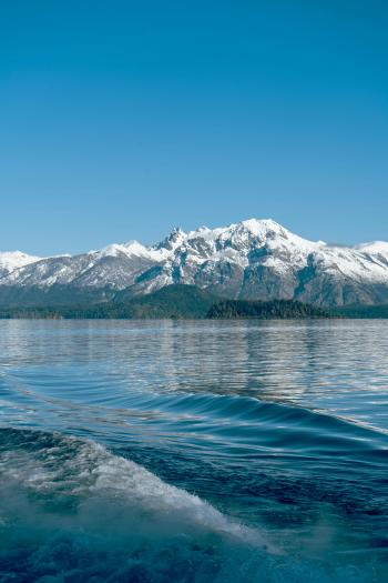 Fondo de Pantalla de pexels_28894587.jpg