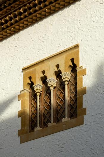 Fondo de Pantalla de pexels_16409313.jpg