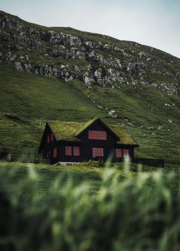 Fondo de Pantalla de pexels_13008664.jpg