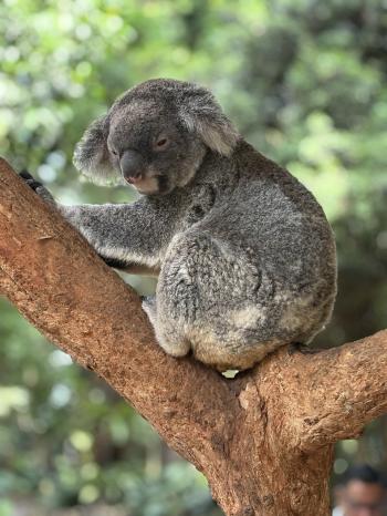 Fondo de Pantalla de pixabay_8731566.jpg