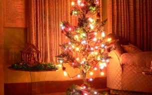 Fondos hd arbol pequeño con luces grandes