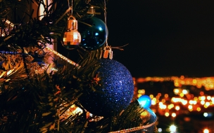 Fondos hd perfil de arbolito con adorno azul